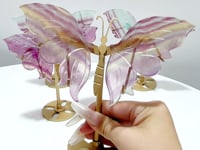 4 Pairs Symmetry Butterfly Wing With Stand Fluorite