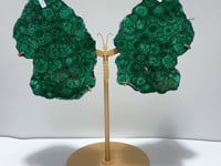 Beautiful Large Polished Malachite Raw Slab Butterfly Wing With Stand (#7)
