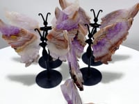 5 Pairs Amethyst Mixed Stripe Agate Butterfly Wing Carving With Stand