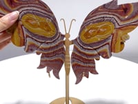 Ocean Jasper Butterfly Wing Carving With Stand