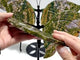 2 Pairs 8th Vein Ocean Jasper Butterfly Wing Carving With Stand