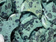 Kambaba Moon Shape Wholesale