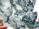 Beautiful Moss Agate Butterfly Wing With Stand