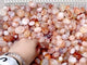 Local Stock - Fire Quartz Tumbled Wholesale