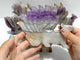 5 Pieces Amethyst Mixed Agate Nine-tailed Fox Carving