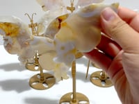 6 Pairs Beautiful Sakura Flower Agate Butterfly Wing Carving With Stand
