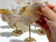 6 Pairs Beautiful Sakura Flower Agate Butterfly Wing Carving With Stand