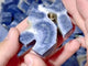Blue Ridge Coral Free Form Heliopora Coerulea Wholesale