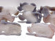 8 Pieces Beautiful Geode Druzy Agate Rhino Carving