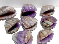 8 Pieces Amethyst Mixed Stripe Agate Shell Carving