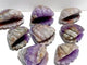 8 Pieces Amethyst Mixed Stripe Agate Shell Carving