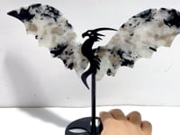 Unique India Moonstone Flying Dragon Wing Carving With Stand
