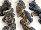 6 Pieces Large Volcano Agate Crocodile Carving(UV-Reactive)