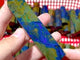Natural Phoenix Pine Stone Points Wholesale