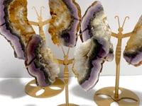3 Pairs Fluorite Mixed Pyrite Butterfly Wing Carving With Stand