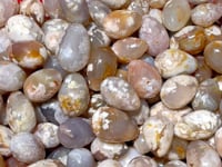 Sakura Flower Agate Egg Wholesale