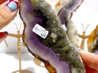 3 Pairs Fluorite Mixed Pyrite Butterfly Wing With Stand #5