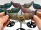 6 Pairs Unique Ocean Jasper Cat Paw Wing Carving With Stand