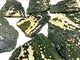 8 Pieces Beautiful 8th Vein Ocean Jasper Slab