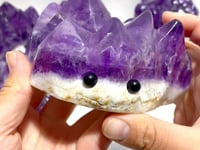 7 Pieces Polished Amethyst Teeth Cluster Groot Carving