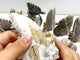 11 Pieces Cute Clear Quartz Cluster Animal Carving
