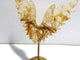 Unique Hematoid Quartz Golden Fire Quartz Butterfly Wing Carving With Stand