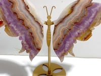 Unique Amethyst Mixed Agate Butterfly Wing Carving With Stand