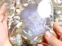 7 Pieces Beautiful Large Green Sakura Flower Agate Slab