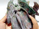 3 Pieces Large Ocean Jasper Seraphim Angel Carving