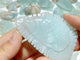 39 Pieces Caribbean Calcite Sea Animals Carving
