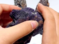 8 Pieces Purple Fluorite Skull Carving