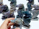 10 Pieces Moss Agate Seahorse Carving