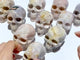 10 Pieces Sakura Flower Agate Skull Carving Clearance