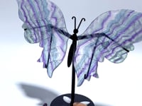 Beautiful Fluorite Symmetry Butterfly Wing With Stand