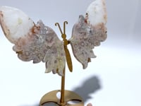 Beautiful Sakura Flower Agate Butterfly Wing Carving With Stand