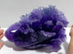 Beautiful Purple Fluorite Chinese Cabbage Carving