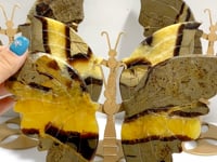 4 Pairs Septarian Butterfly Wing Carving With Stand #2