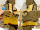 4 Pairs Septarian Butterfly Wing Carving With Stand #2