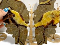 4 Pairs Septarian Butterfly Wing Carving With Stand #1