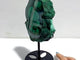 Unique Malachite Specimen Raw Bottom With Stand