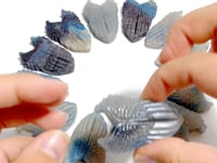 12 Pieces Trolleite Stone Wing Shield Carving Closeout