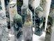 14 Pieces Moss Agate Four-sided Points
