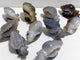 10 Pieces Geode Druzy Agate Snail Carving