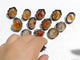 13 Pieces Rare Fire Quartz Dentritic Quartz Different Styles Ring