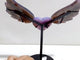 Unique Purple Agate Heart Wing Carving With Stand