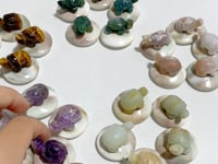 5 Types Mini Turtle On The Shell Fossil Wholesale Moss Agate Tiger Eye