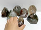 7 Pieces Garden Quartz Free Form #12