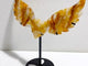 Golden Hematoid Quartz Fire Quartz Heart Wing Carving With Stand