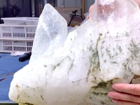 36KG Clear Quartz Cluster Mineral Specimen (Sea Freight Only)