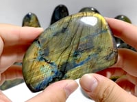 15 Pieces Labradorite Polished Free Form